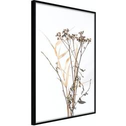 Arkiio Affisch Camomile [Poster] 30x45 Poster